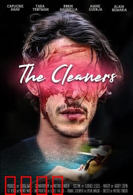 清洁工：绝命清理