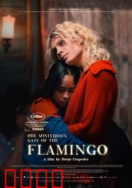 弗拉明戈的神秘眼神：舞步中的诅咒