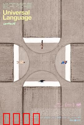 共同的语言：无声的呐喊