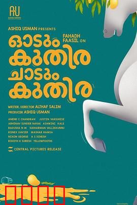 一匹马奔跑，一匹马跳跃：命运的双重奏