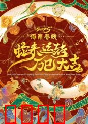 2025河南春晚：文化盛宴燃爆