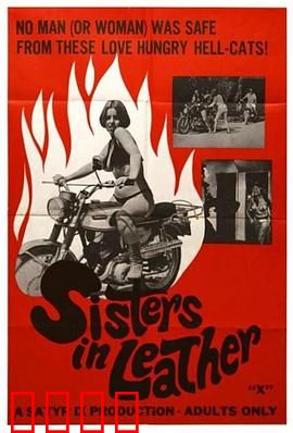 皮衣姐妹：暗夜狂飙