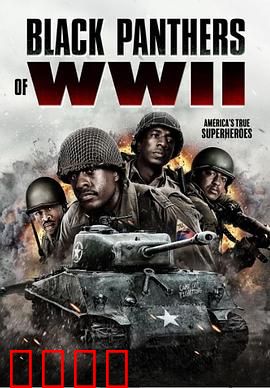 二战黑豹：铁甲豹影