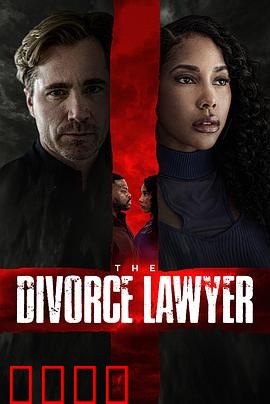 离婚律师：正义的辩护