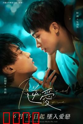 逆爱2025：情感逆转