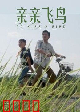 亲亲飞鸟：守护之翼