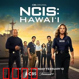 海军罪案调查处：暗海追踪