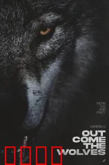 狼群出动：雪域霸主