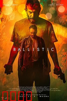 弹道：追查枪支黑幕