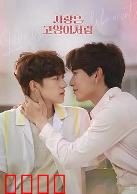 爱情像猫一样：自由与依赖