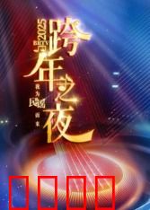 2025北京卫视跨年：星光璀璨迎新夜