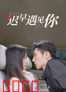 迟早遇见你：命运的回响