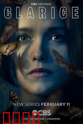 克拉丽斯：沉默后传