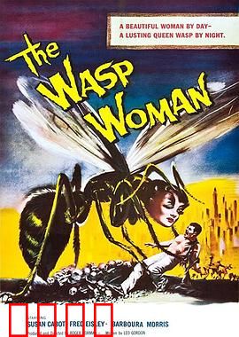 黄蜂女：量子救援行动