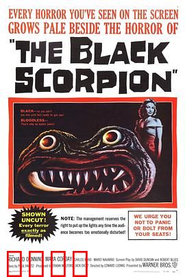 黑蝎：末日毒针