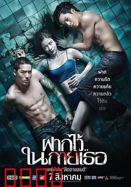 泳队惊魂：金牌背后的诅咒