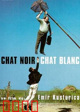 黑猫白猫：吉普赛人的狂欢