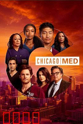 芝加哥急救第六季：急诊室生死时速