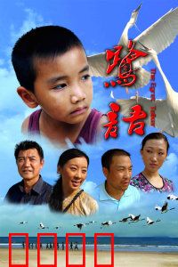 鹭语：人鸟情深