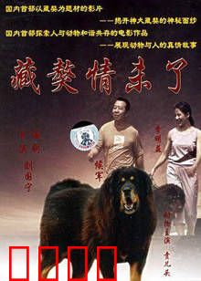 藏獒情未了：忠诚守护一生