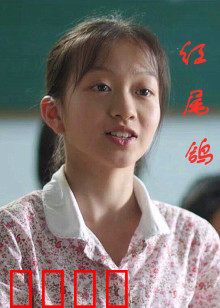 红尾鸽：蓝天英雄