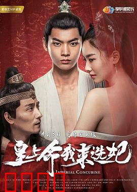 皇上命我来选妃：穿越女官逆袭