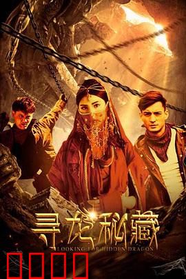 寻龙秘藏：龙渊迷踪