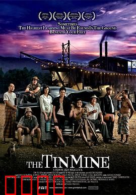 锡矿山：血色悲歌