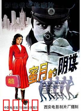 蜜月的阴谋：致命新婚