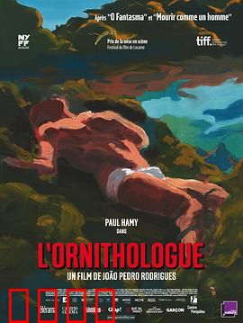 鸟类学家：神秘救赎