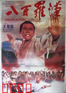 八百罗汉：少林护国