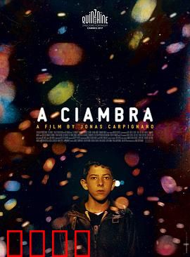 罗姆男孩：贫民窟的拳击梦