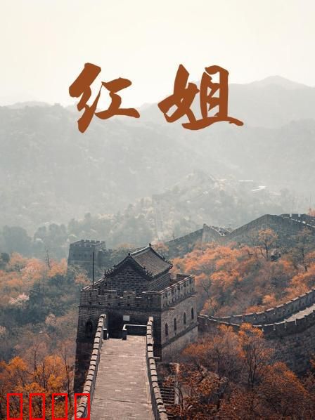 红姐2017：铁血女警归来