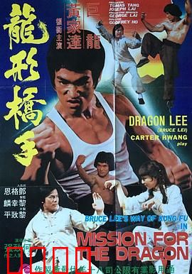 鹰拳：复仇之火