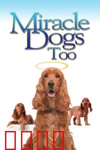 天降神犬2：绝境救援