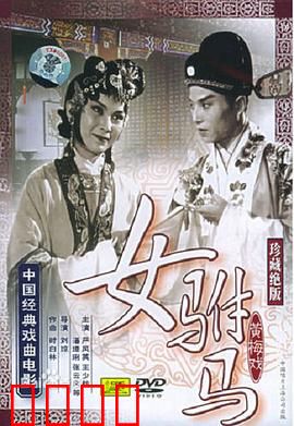 女驸马：才女逆袭记