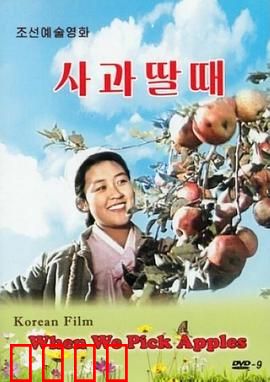 摘苹果的时候：丰收的喜悦