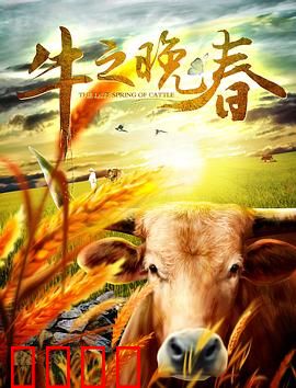 牛之晚春：夕阳下的尊严
