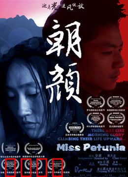 朝颜：花开花落时