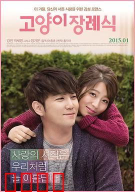 猫的葬礼：最后的陪伴