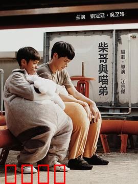 柴哥与喵弟：都市寻宝记