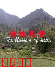 姊妹花开：双生花劫