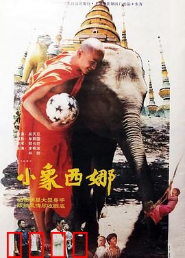 小象西娜：母爱的守护