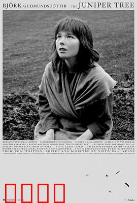 女巫恋人：真爱无界