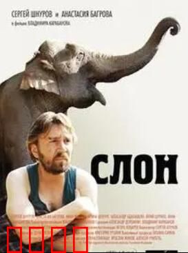 大象菩提：智慧觉醒