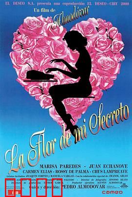 我的秘密之花：破碎的镜像