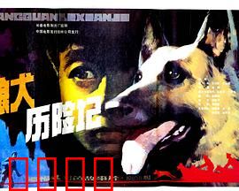 狼犬历险记：忠诚与背叛