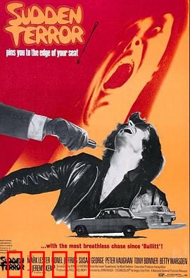 小英雄与大刺客：正义觉醒