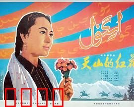 天山的红花：草原女队长的奋斗