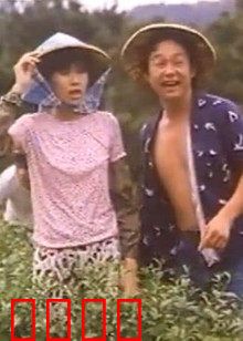 小美我爱你：暗恋十年终告白